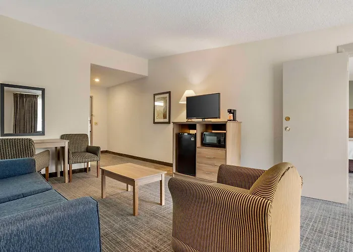 Quality Inn & Suites Nrg Park - Medical Center