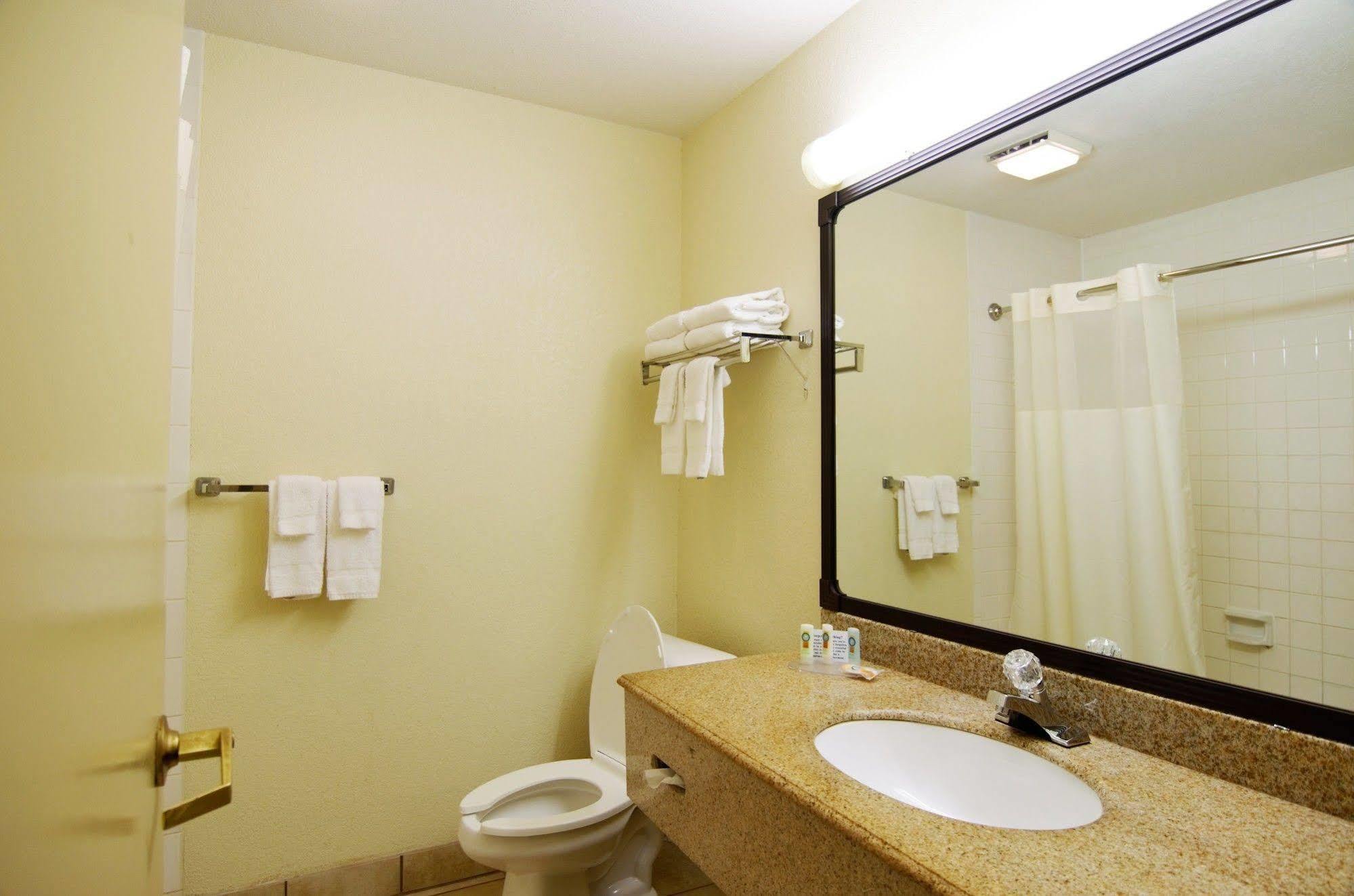 Hotel Quality & Nrg Park - Medical Center 3*